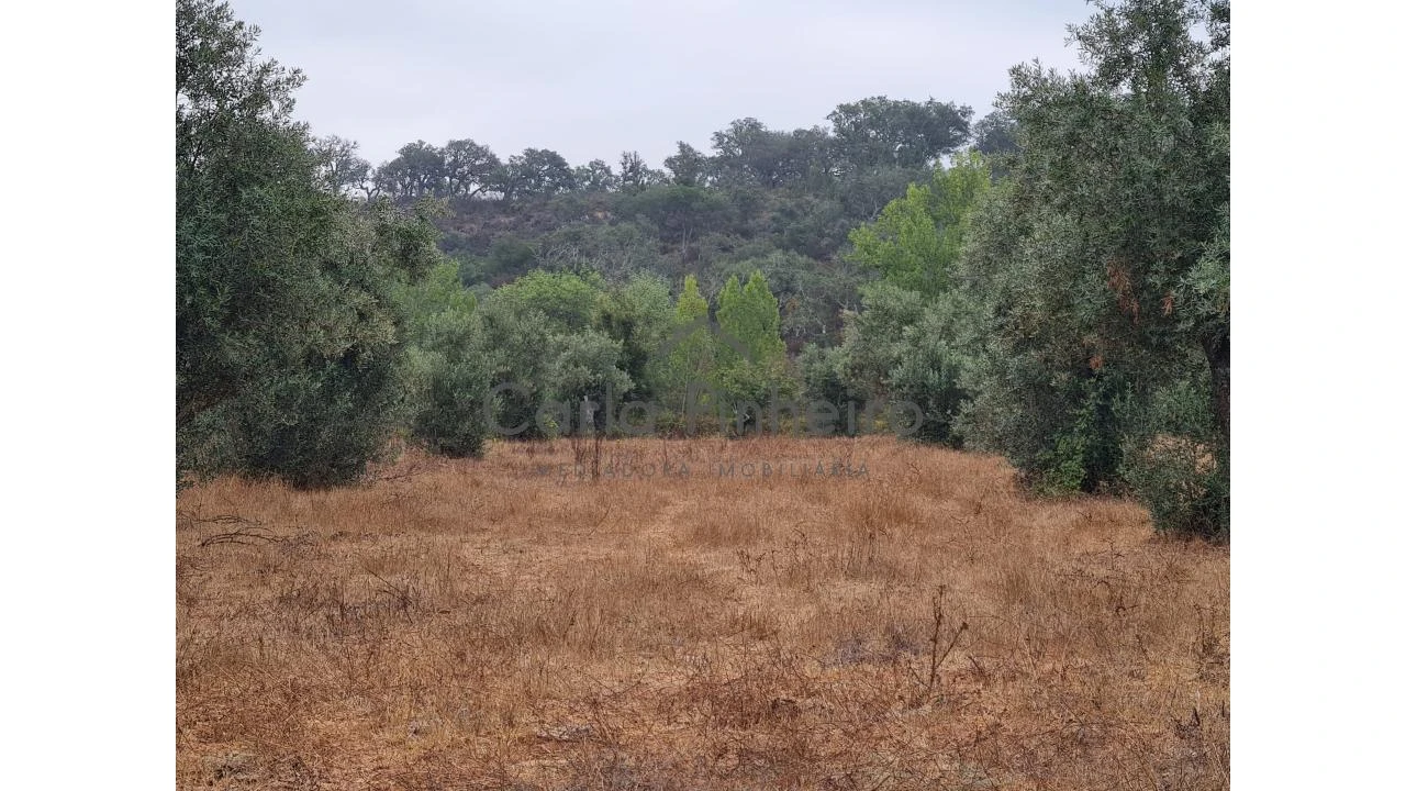 Quinta para Venda em Cercal Foto 2