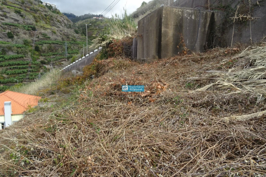 Terreno para Venda em Calheta Foto 10