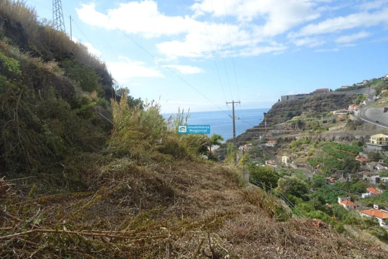 Terreno para Venda em Calheta Foto 8