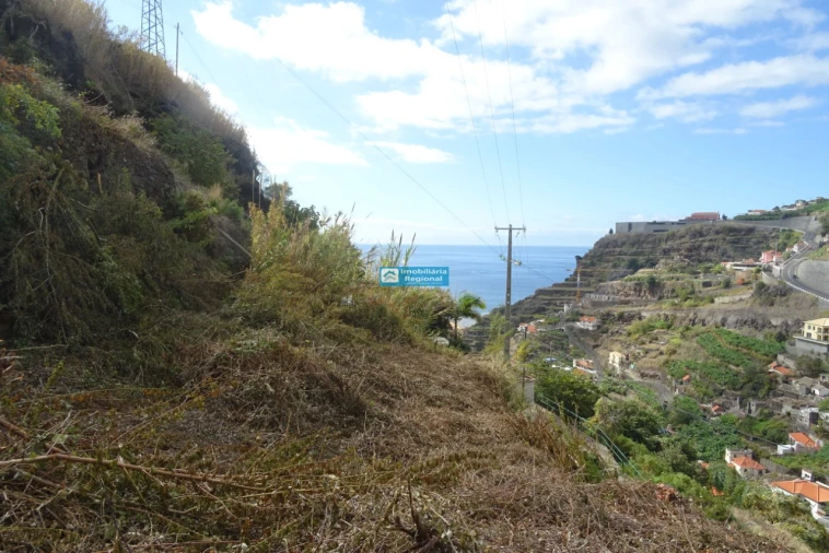 Terreno para Venda em Calheta Foto 9
