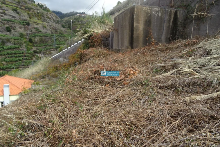 Terreno para Venda em Calheta Foto 10
