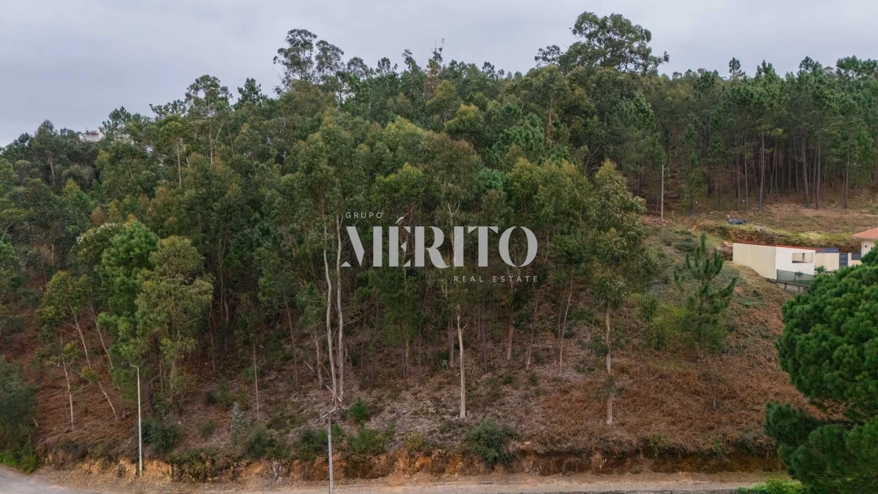 Terreno para Venda em Abade de Neiva Foto 4