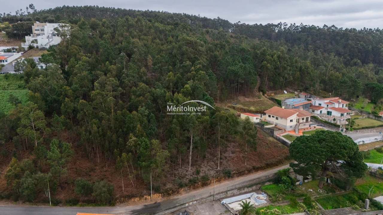 Terreno para Venda em Abade de Neiva Foto 9