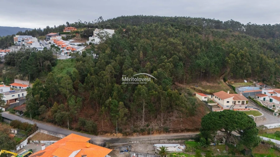 Terreno para Venda em Abade de Neiva Foto 8