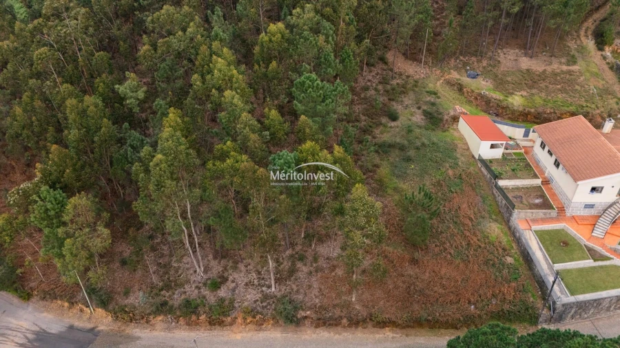Terreno para Venda em Abade de Neiva Foto 12