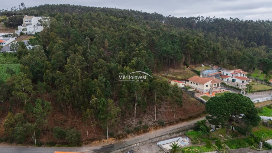 Terreno para Venda em Abade de Neiva Foto 9