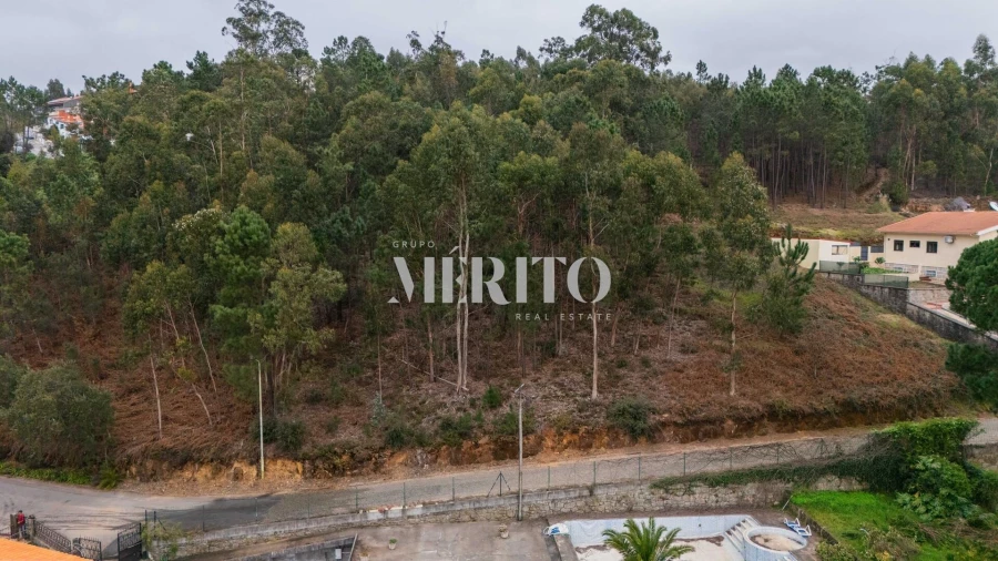 Terreno para Venda em Abade de Neiva Foto 2