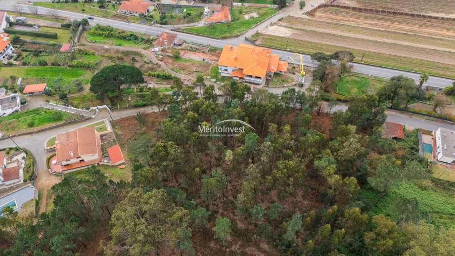 Terreno para Venda em Abade de Neiva Foto 14