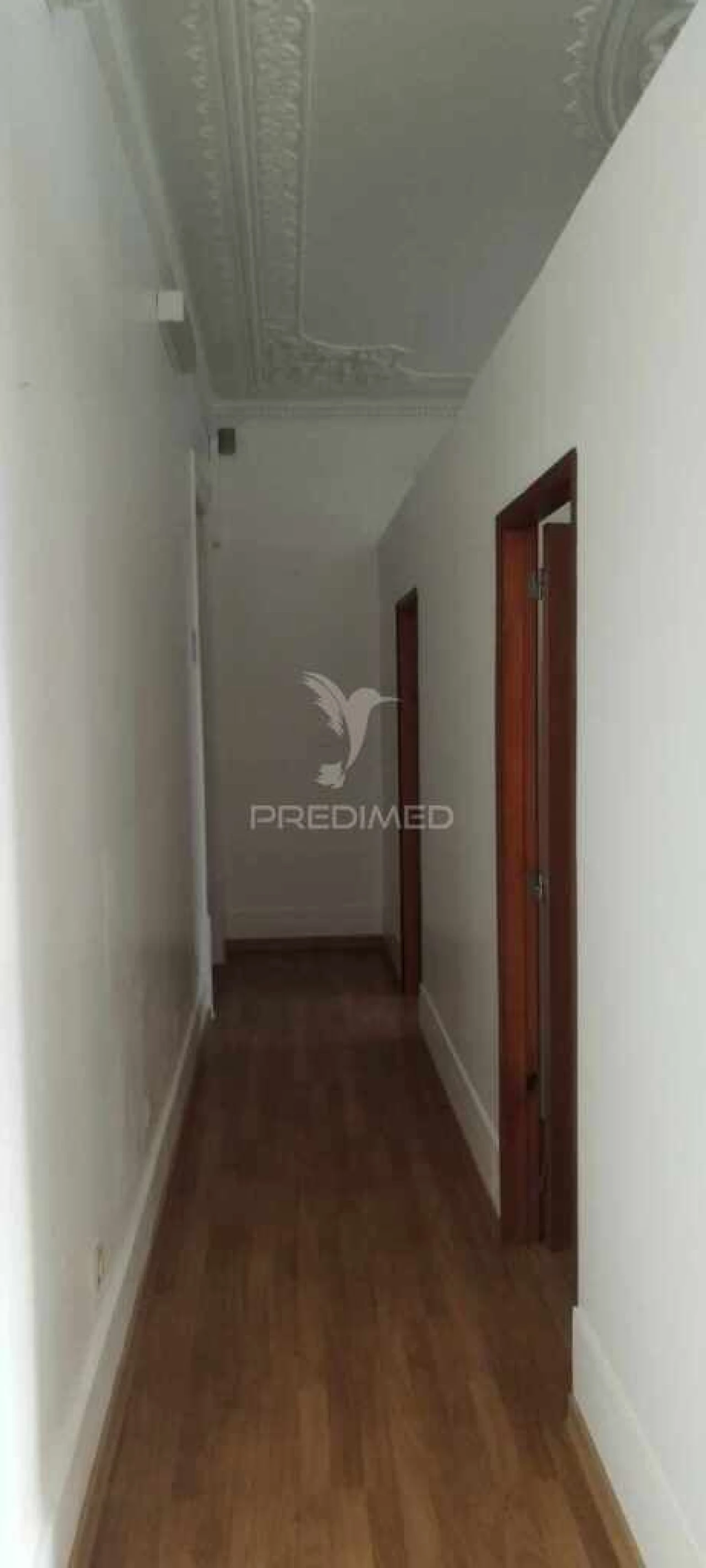 Loja para Arrendamento em São João Baptista Foto 5