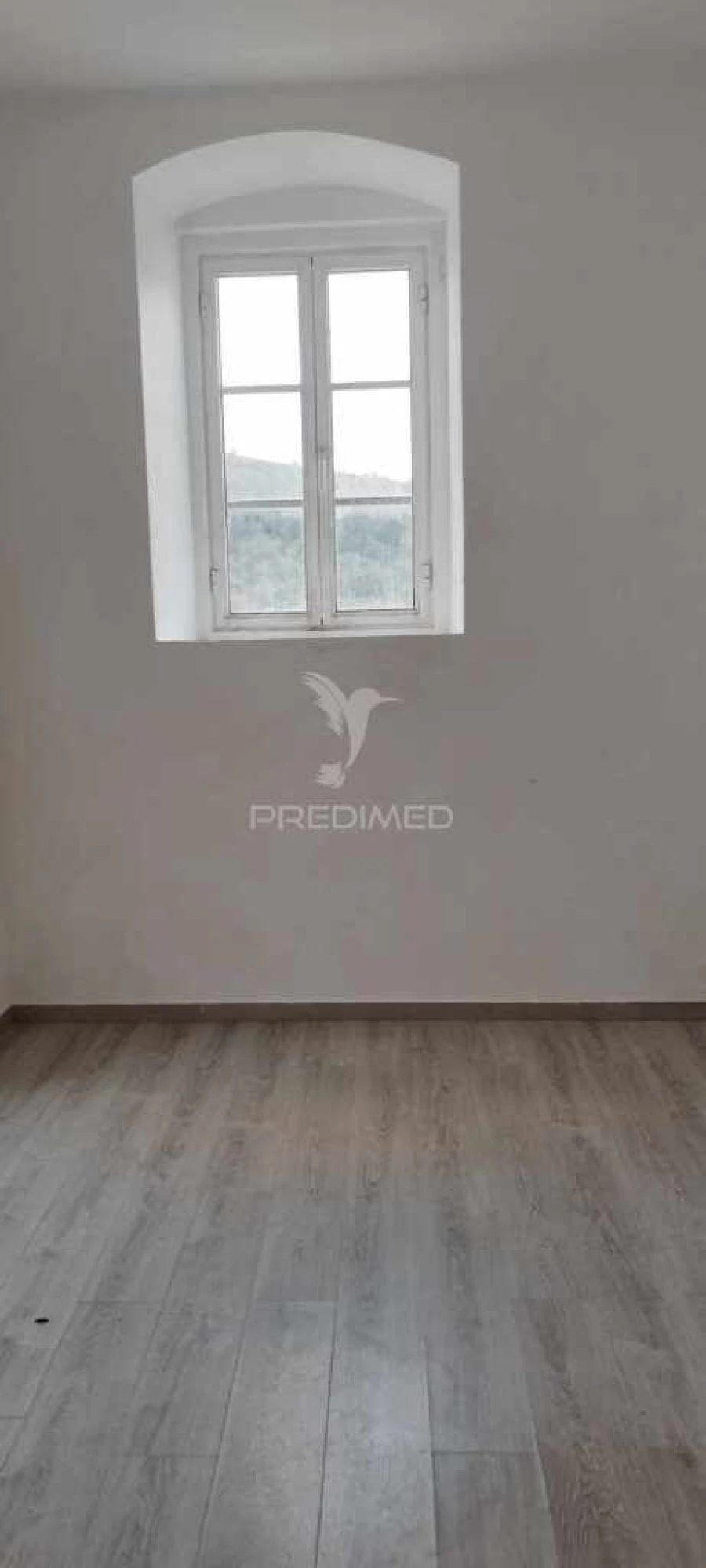 Loja para Arrendamento em São João Baptista Foto 6