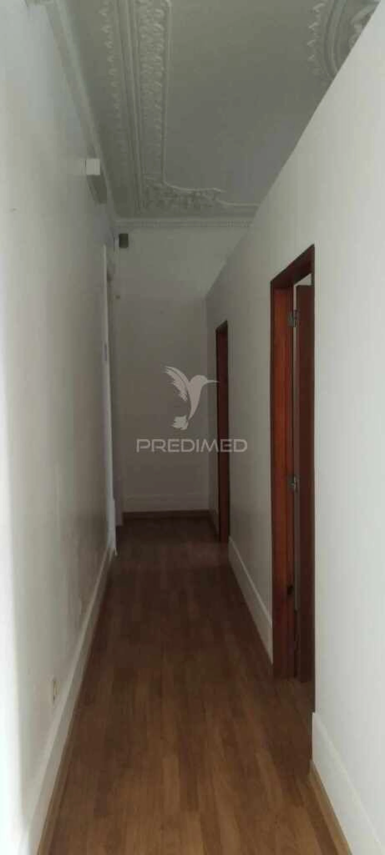 Loja para Arrendamento em São João Baptista Foto 5