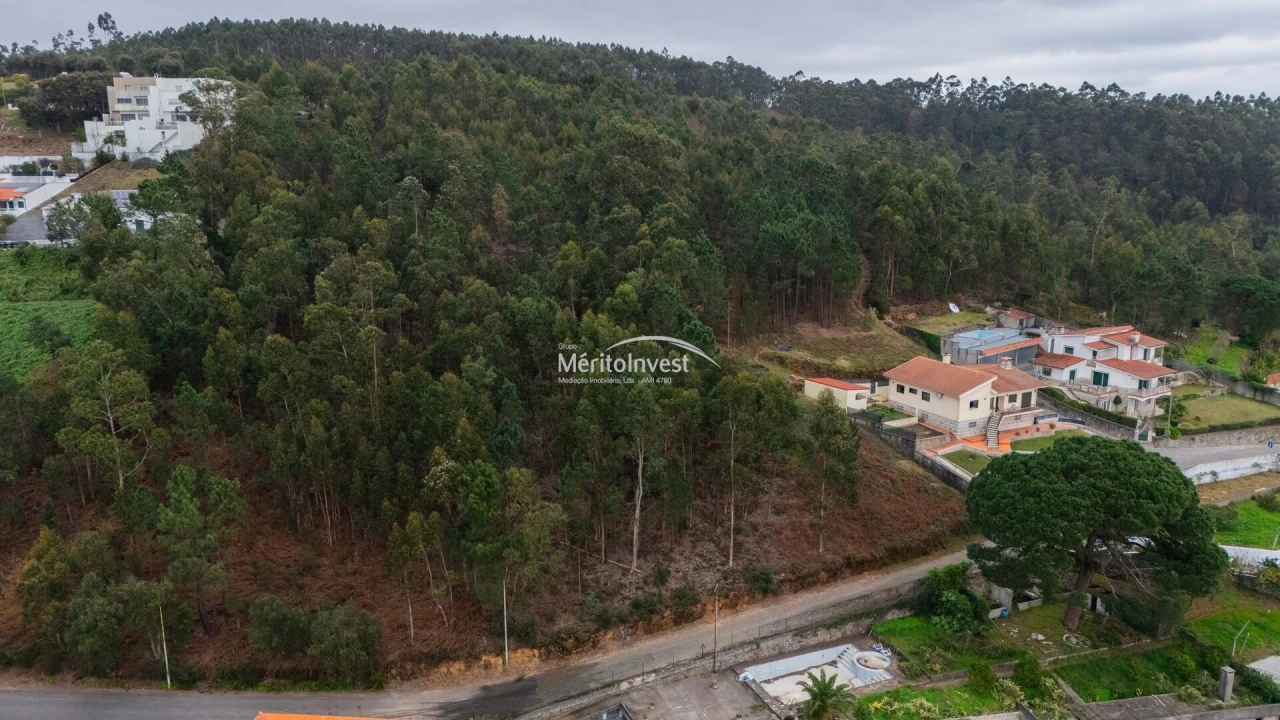Terreno para Venda em Abade de Neiva Foto 14