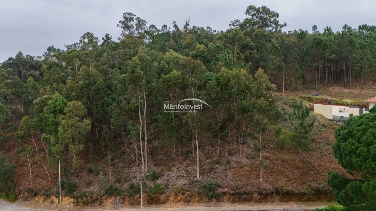 Terreno para Venda em Abade de Neiva Foto 10