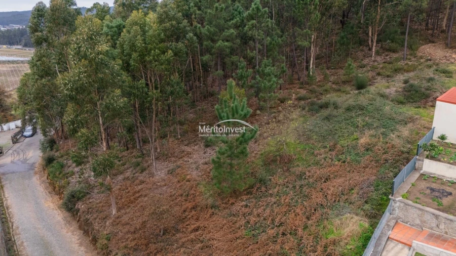 Terreno para Venda em Abade de Neiva Foto 8