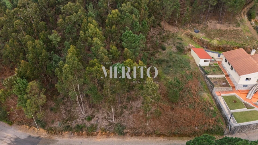 Terreno para Venda em Abade de Neiva Foto 5