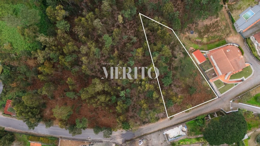 Terreno para Venda em Abade de Neiva Foto 1