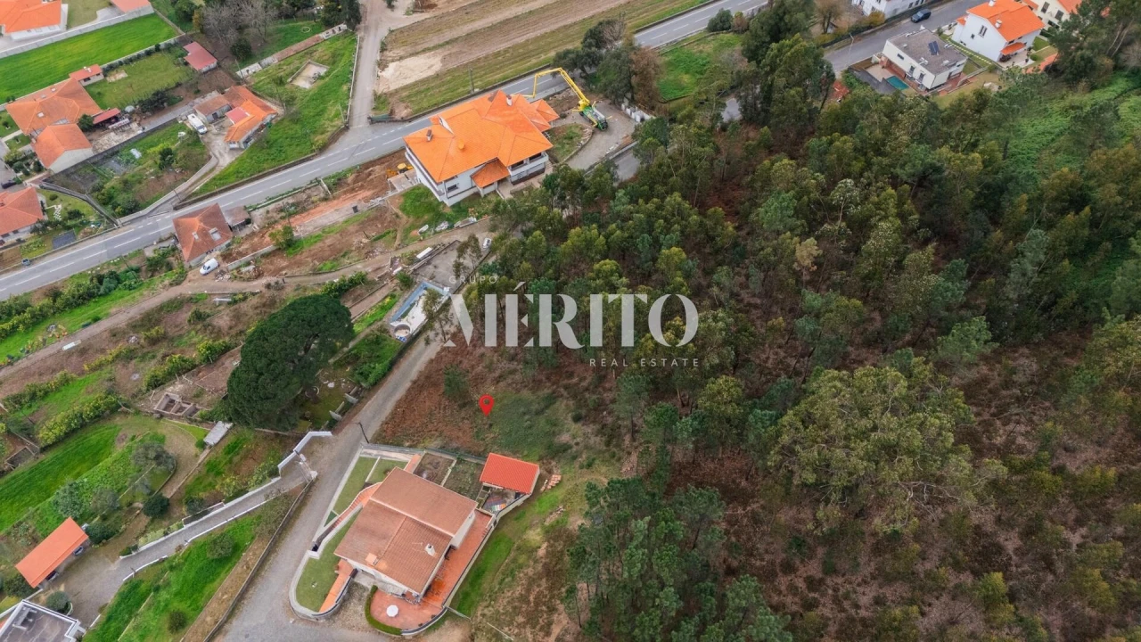 Terreno para Venda em Abade de Neiva Foto 6