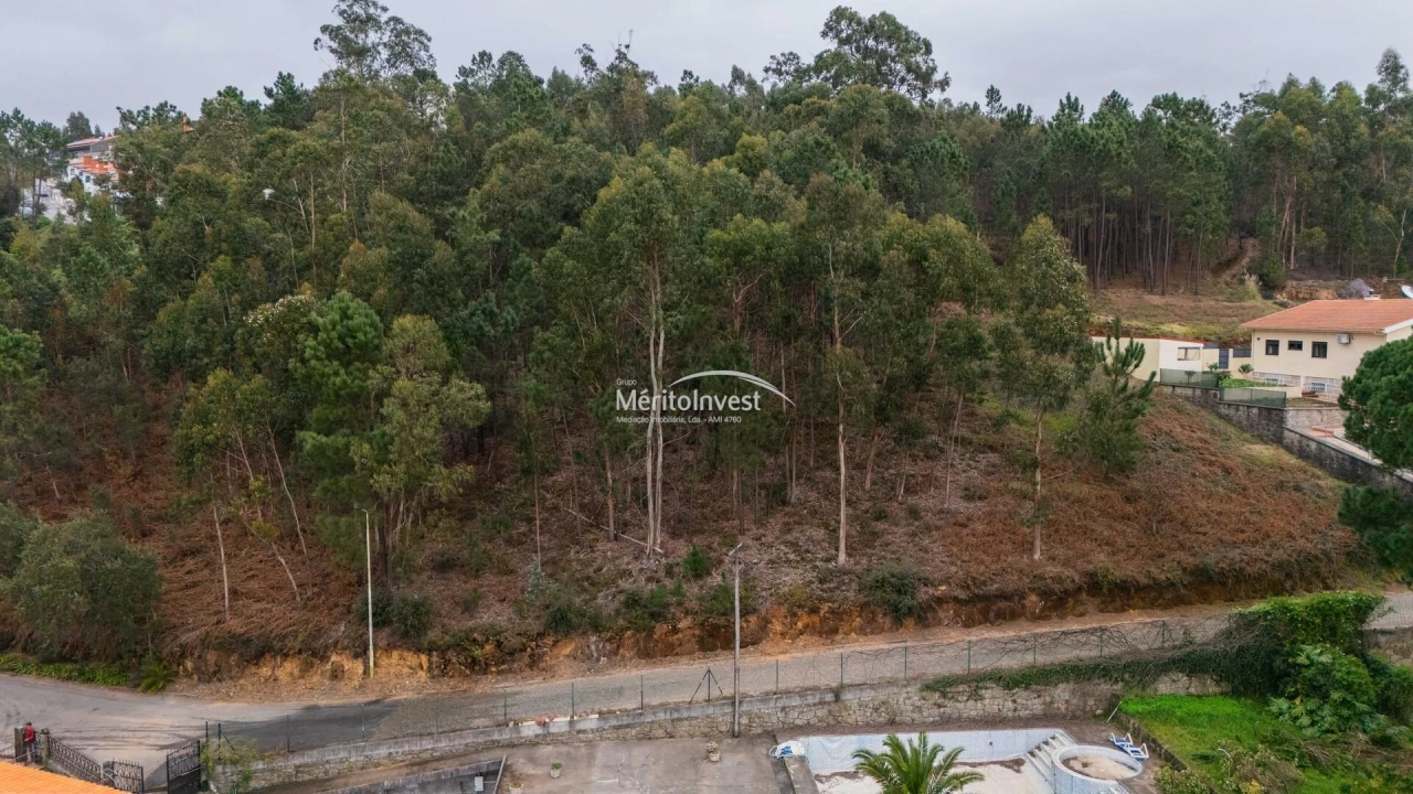 Terreno para Venda em Abade de Neiva Foto 9