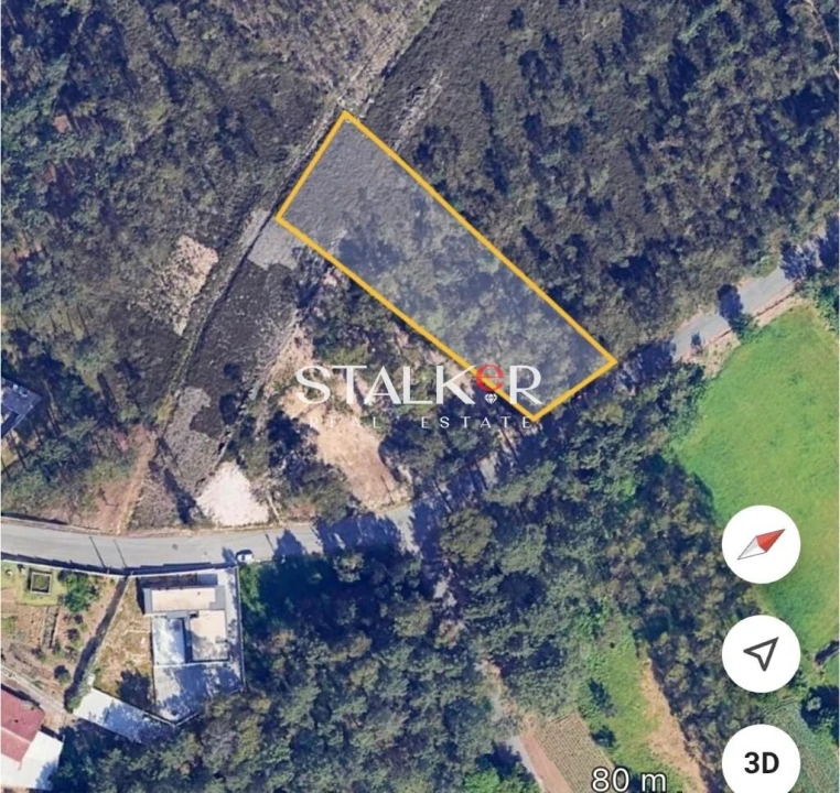 Terreno para Venda em Caldas de São Jorge e Pigeiros Foto 5