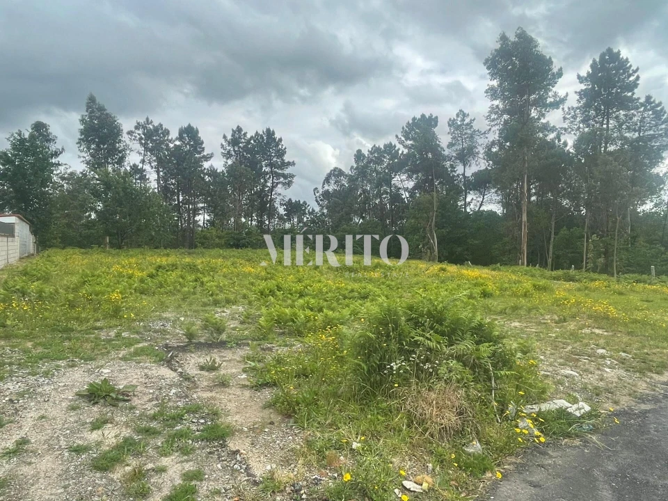 Terreno para Venda em Vila Verde e Barbudo Foto 3