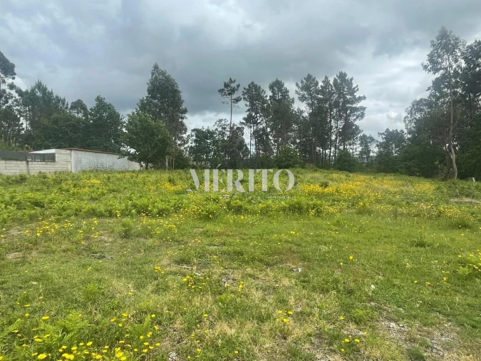 Terreno para Venda em Vila Verde e Barbudo Foto 4