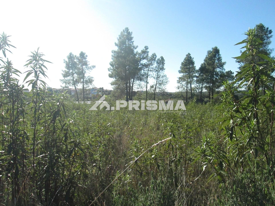 Terreno para Venda em Castelo Branco Foto 30