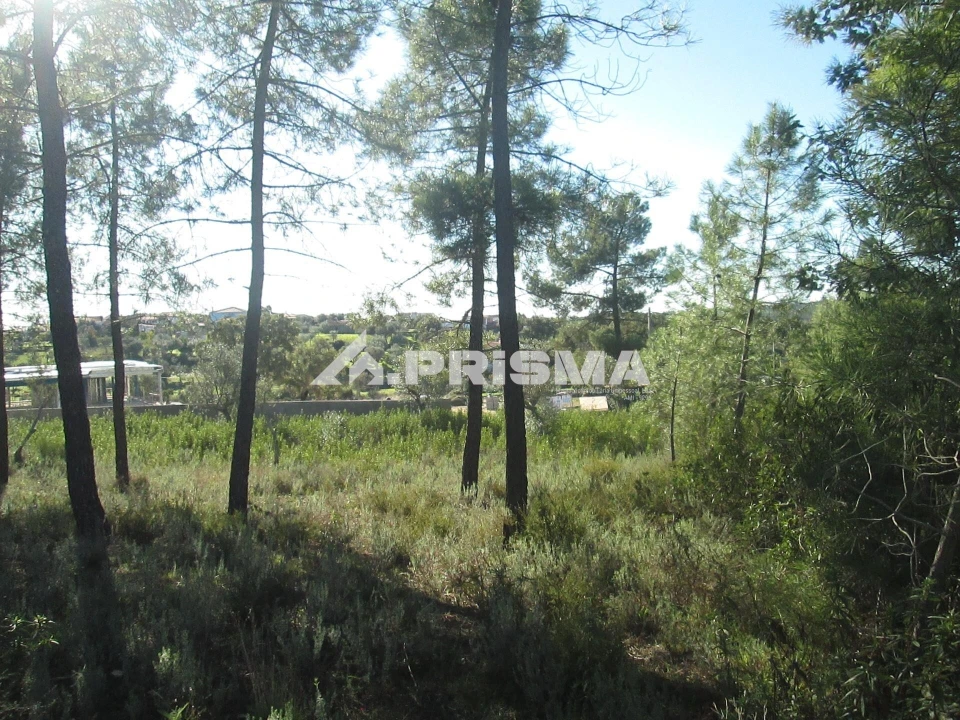 Terreno para Venda em Castelo Branco Foto 27
