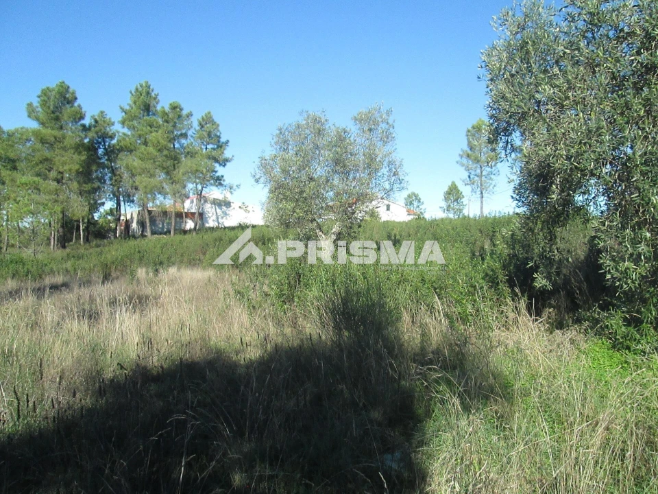 Terreno para Venda em Castelo Branco Foto 15