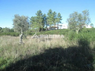 Terreno para Venda em Castelo Branco