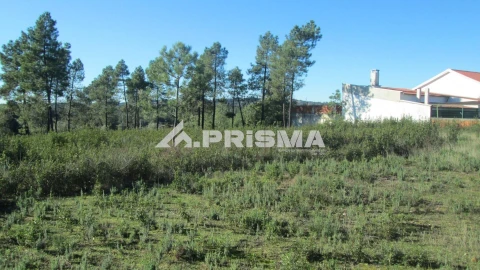 Terreno para Venda em Castelo Branco
