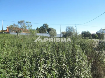 Terreno para Venda em Castelo Branco