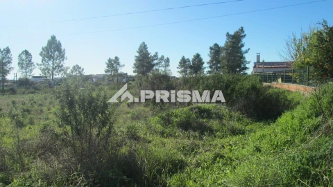 Terreno para Venda em Castelo Branco