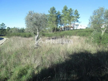 Terreno para Venda em Castelo Branco