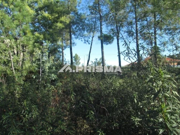 Terreno para Venda em Castelo Branco