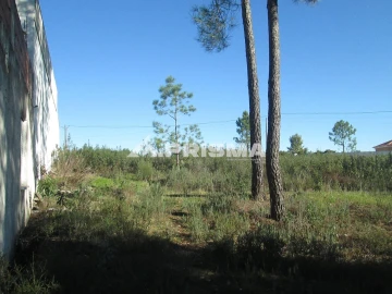 Terreno para Venda em Castelo Branco