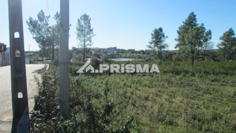 Terreno para Venda em Castelo Branco