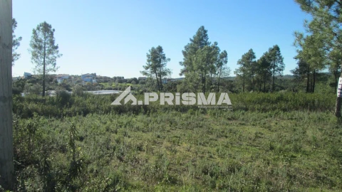 Terreno para Venda em Castelo Branco
