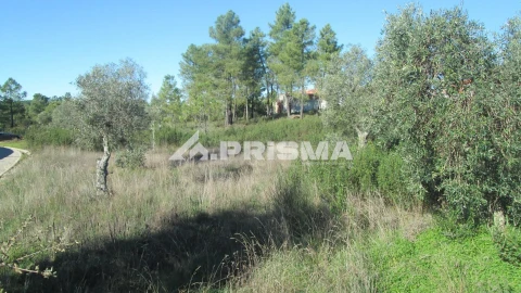 Terreno para Venda em Castelo Branco
