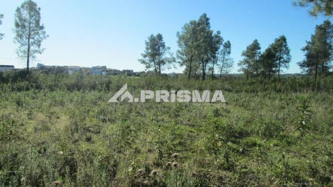 Terreno para Venda em Castelo Branco