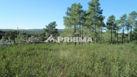 Terreno para Venda em Castelo Branco