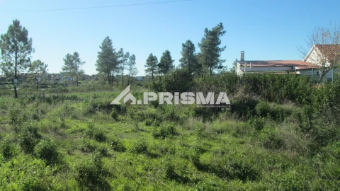 Terreno para Venda em Castelo Branco