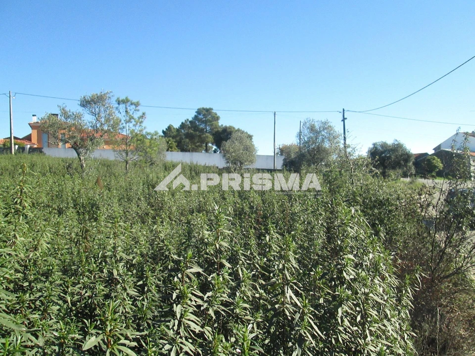 Terreno para Venda em Castelo Branco Foto 19
