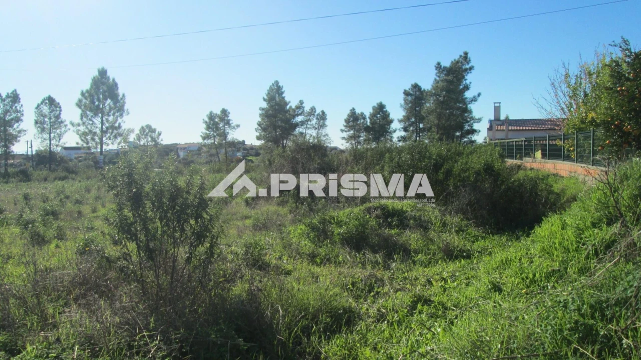 Terreno para Venda em Castelo Branco Foto 1