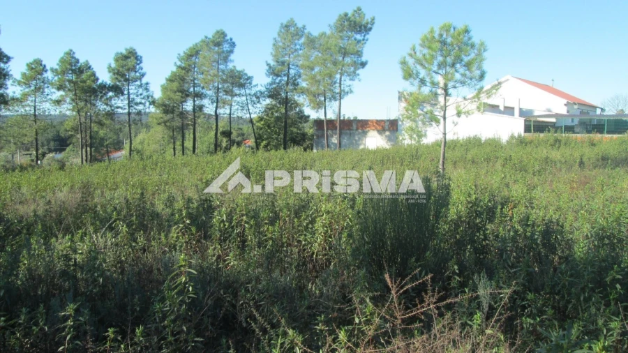 Terreno para Venda em Castelo Branco Foto 10