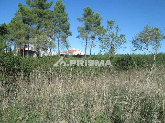 Terreno para Venda em Castelo Branco Foto 18
