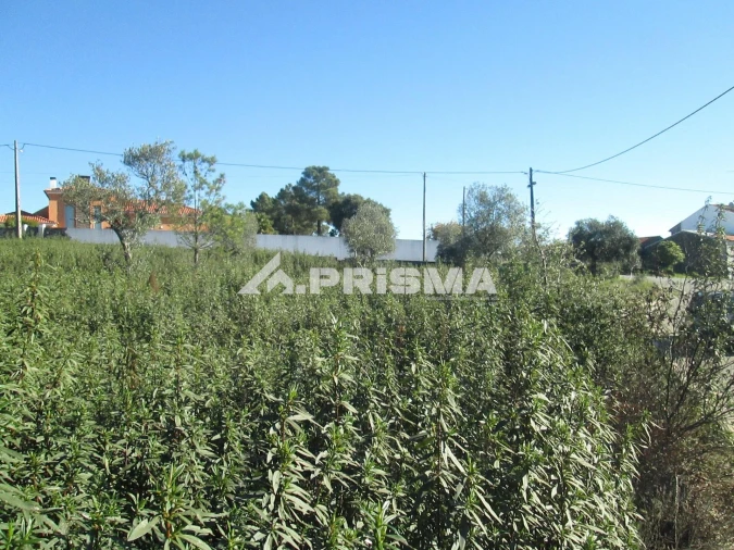 Terreno para Venda em Castelo Branco Foto 19