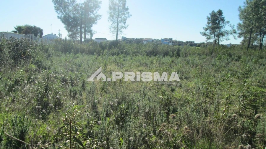 Terreno para Venda em Castelo Branco Foto 8