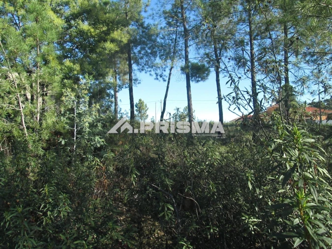 Terreno para Venda em Castelo Branco Foto 25