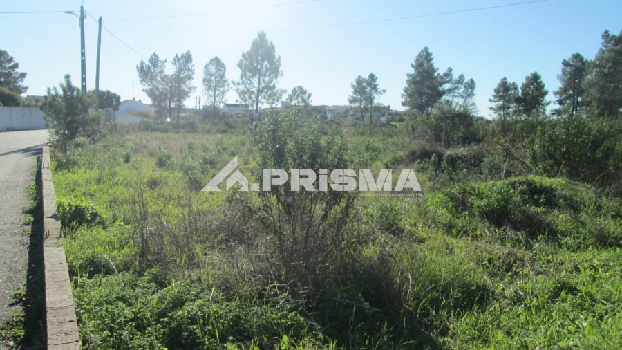 Terreno para Venda em Castelo Branco Foto 4