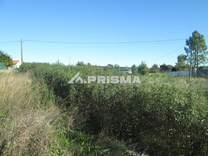 Terreno para Venda em Castelo Branco Foto 28
